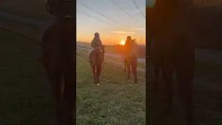 #верховаяезда #верховаяезда #лошадь #верховаяезда