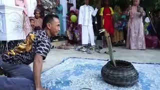ATRAKSI KING COBRA DALAM RANGKA ULANG TAHUN KEPONAKAN | JAGAD MUDA
