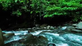 Dark Jungle River Flow &ndash; Deep Sleep Nature Sound with Rushing Water Sound