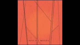 Human Scale - Into the Woods