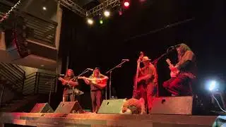 Easy Tiger at 10 Mile Music Hall Nov 21st 2025