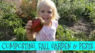 Composting, Fall Gardening & PESTS! || August Garden Update
