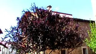 Irunberri  Nafarroa  Musika