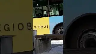 #regio#bus#Regionalbus, Radfeld