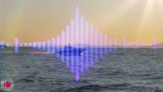 4K Deep House Car Music Mix (90 Mins) | Ocean View Nu Vibe Bass Boost | Endless Summer Drive Music