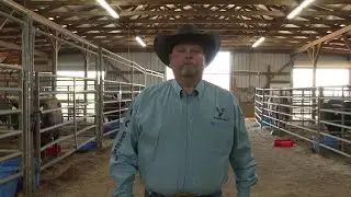 Mt. Orab ranch has become force in Professional Bull Riding