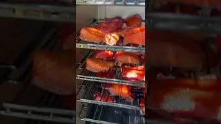 Smoked Salmon Pellet Smoker #salmon #pitbossgrills #smoke #smoker #family