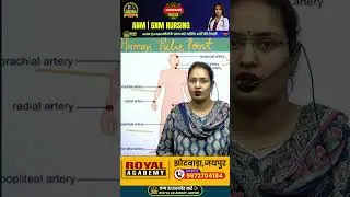 Human Pulse Points | Important Arteries for Pulse Check | Nursing & First Aid Training#shorts#viral