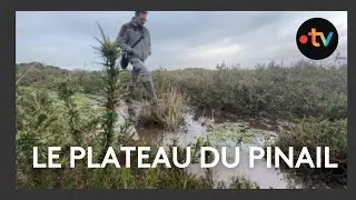 Un nouveau programme pour la R&eacute;serve naturelle du Pinail