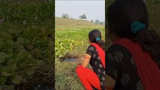 Village girl hook fishing videos #short #fish #women #fishing #viralshorts #villagegirl #reels #fish