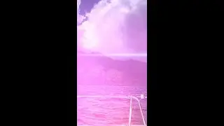 Sailing Life - Does the Dream Match the Reality