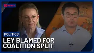 Nationals And Liberals Play Blame Game Following Coalition Collapse | 10 News+