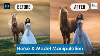 NSDA level 3 | GDFL3 | Horse & Model Manipulation