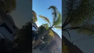 Power Line safety | Part 1 What to do when you see a downed power line and how to stay safe!