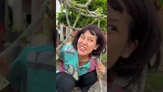 B&Eacute; BA ĐỔI TIỀN LẺ #haibadane #shorts