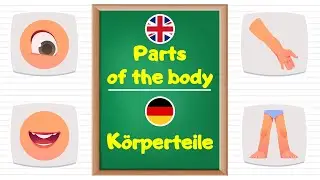 Learn Parts of the Body in German Language for Beginners.