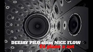 DEEJAY PILO allias NICE FLOW - F&eacute; Plane A Zot
