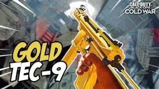 I Took It From Tec 9 To Tec FINE! (Cold War DM Ultra Grind 2022)