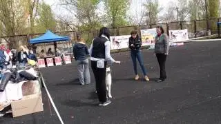 16.04.2017 
