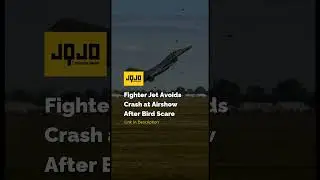 Fighter Jet Avoids Crash at Airshow After Bird Scare