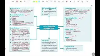 Deep Vein Thrombosis Easy Mind Map For All Medical Student...🤫 #dvt #fmge #neetpg #inicet #mbbs 