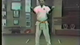 Master Seiyu Oyata, bunkai/tuite demonstration