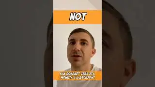 Обзор монеты NOT. Что можно ожидать от монеты во время альтсезона #альтсезон #альткоины #инвестиции