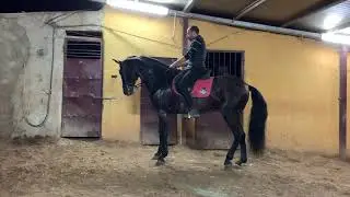 Inchino reale e passo spagnolo p.r.e Enoc