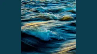 Water and the Wild
