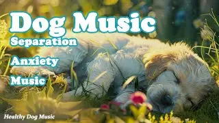 Healing Music for Dogs💖Dog Separation Anxiety Relief Music, sleeping Music