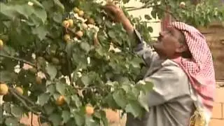 خوف دائم يعيشه سكان منطقة مشاريع القاع اللبنانية