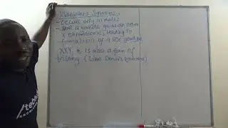 4  Klinefelters Syndromes