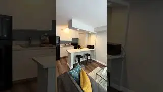 Gold Coast Chicago Apartments│Lake Shore Drive│Studio│#219