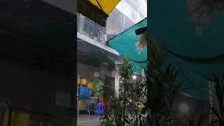 Raining...