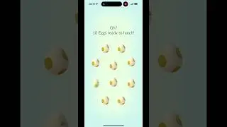 I couldn&rsquo;t find this shiny during Go Fest only hatch it the next day