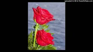 Kraze & Mc Shoaling Creeper -  Message From The Angels