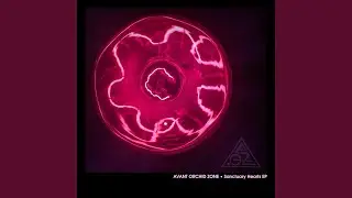 Anyway (live coda from Tellerh&auml;user 2025)