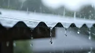 Rain Dripping Under a Metal Roof | 1 Hour Natural Ambience