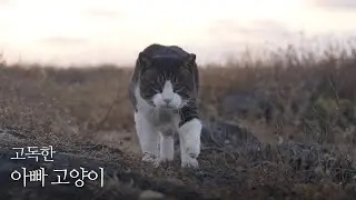 쓸쓸한 아빠의 바다