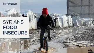 Nearly 13M Syrians face severe food insecurity