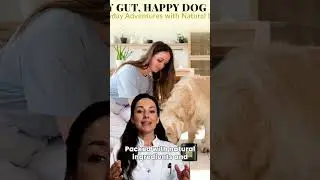 Probiotic Bites for Dogs &ndash; Gut Health & Digestive Support 2