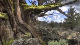 ONDA: A Voice For Oregon's Wild Deserts