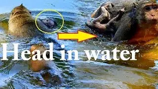 Leyla bring baby Lola into water even Lola's arm can't use | Lola down head in water nearly drow