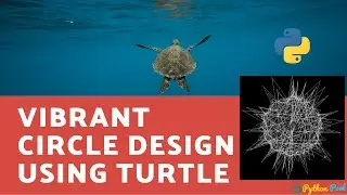 Vibrant Circle Design Using Python and Turtle | Turtle Design