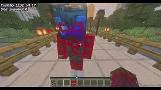 Minecraft - Ladybug brincando de Miraculous.