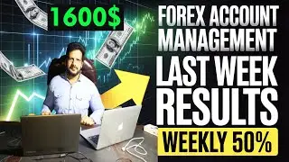 Forex Account Management Service || Account Handling Forex Result