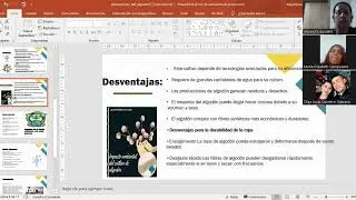ALGOD&Oacute;N TRANSGENICO