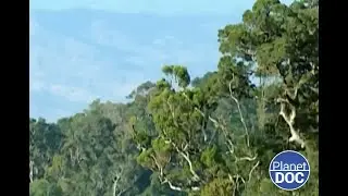 La versión 2.0 del turismo: así es el Ecoturismo que te explicamos (DOCUMENTAL COMPLETO)