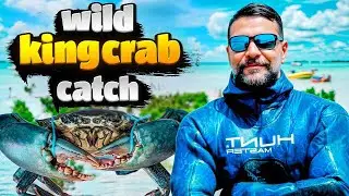 Into the mangrove maze of Jask, we found the mighty King Crab &mdash;nature&rsquo;s armored predator of the tide