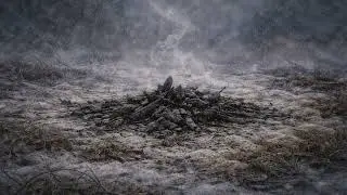Themes and Literary Devices in The Cold Within